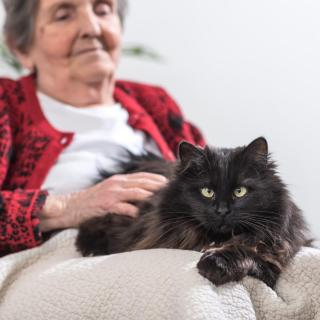 alte Dame mit Katze auf dem Schoß